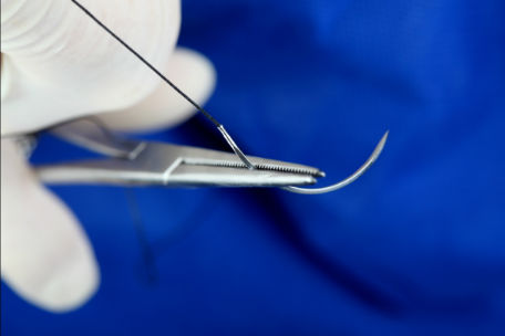 Silk Sutures
